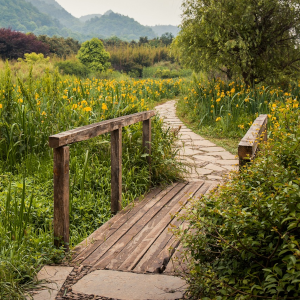 Eine Brücke aus Holz und ein anschließend Weg aus Steinen schlängelt sich durch eine Landschaft mit gelben Blumen und hohen Bergen am Horizont